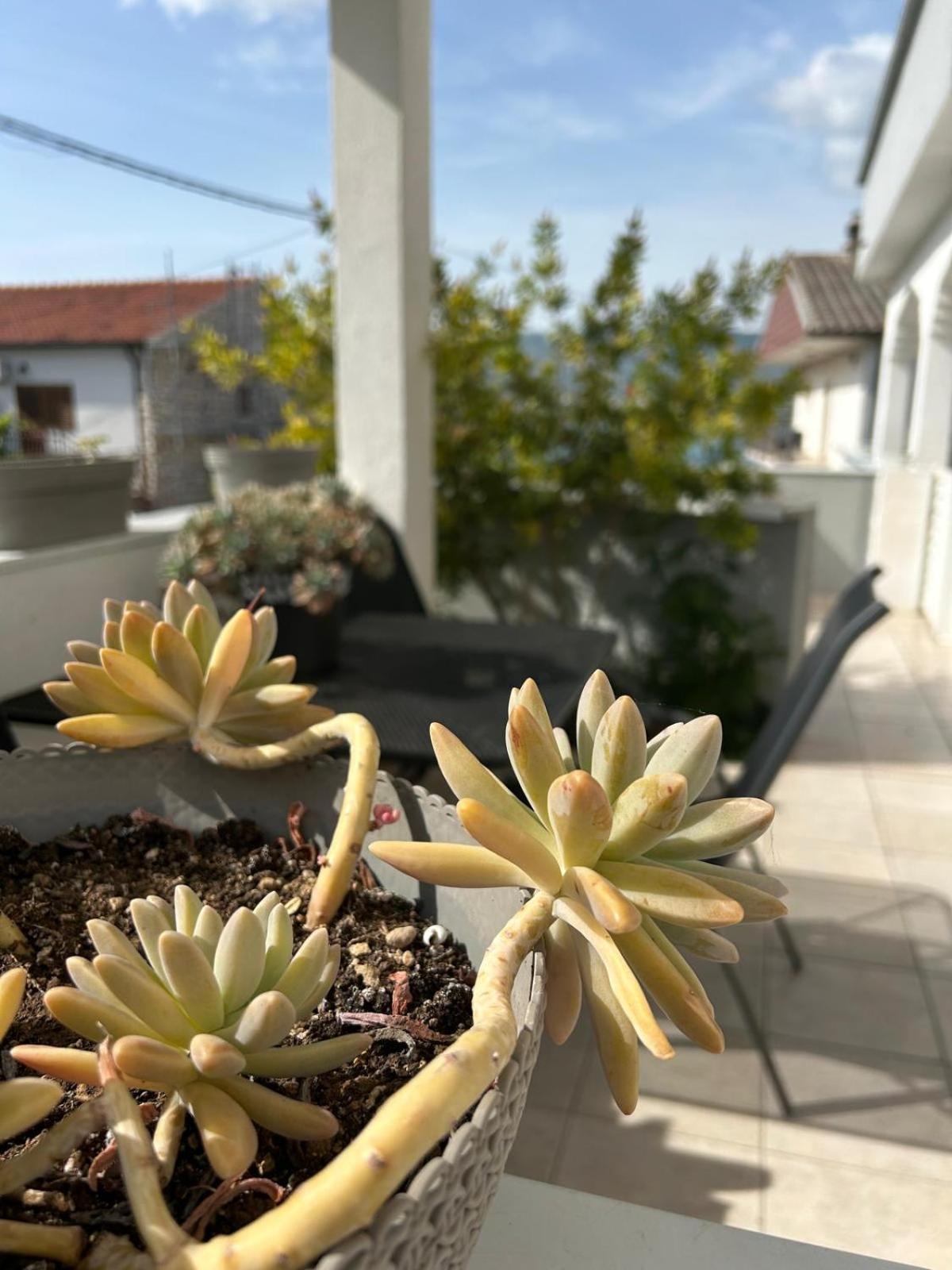 Apartmani Grgic Trogir Exteriér fotografie